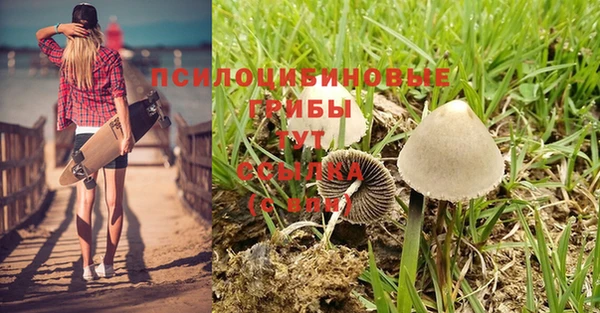 стафф Балабаново