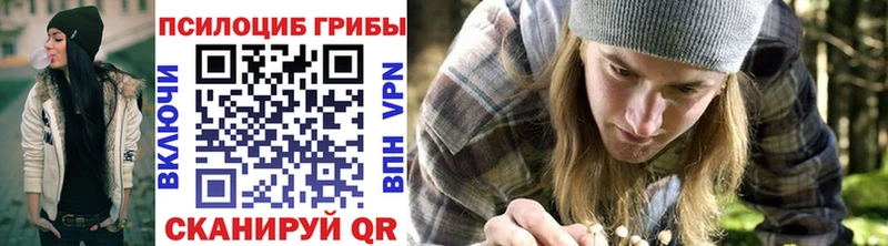 Галлюциногенные грибы Cubensis  Курганинск 
